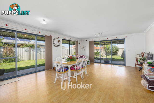 8 Onyx Brace AUSTRALIND WA 6233
