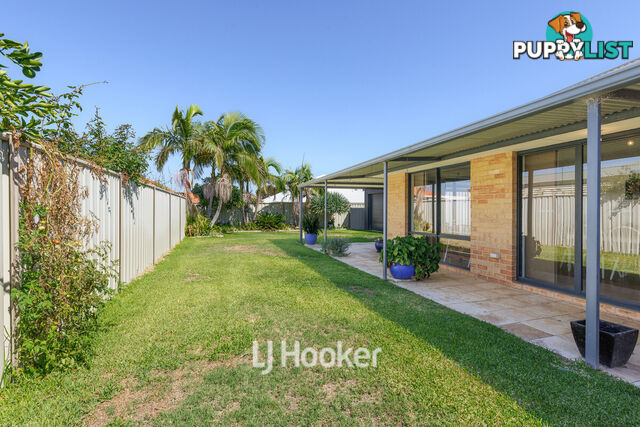 8 Onyx Brace AUSTRALIND WA 6233