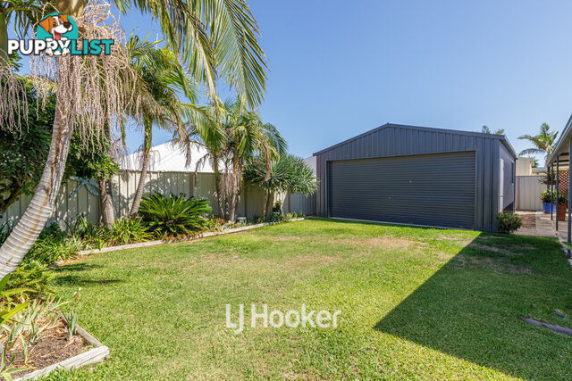 8 Onyx Brace AUSTRALIND WA 6233