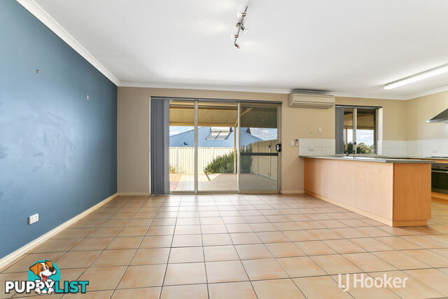 20 Robinia Rise COLLIE WA 6225