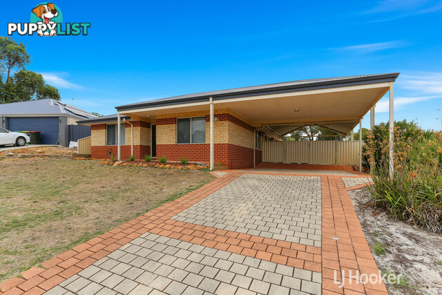 20 Robinia Rise COLLIE WA 6225