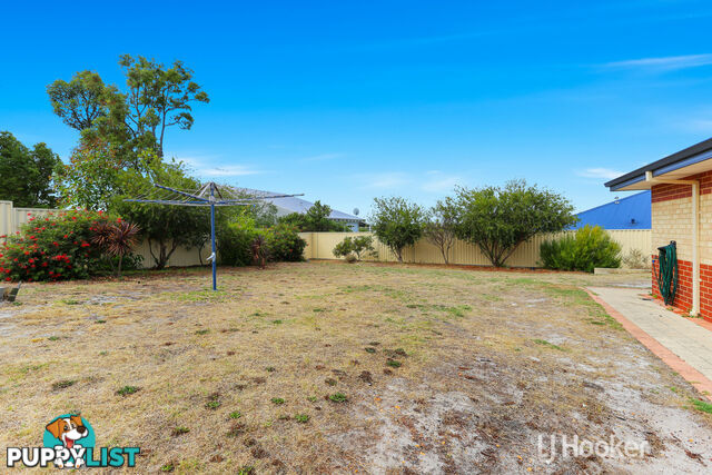 20 Robinia Rise COLLIE WA 6225