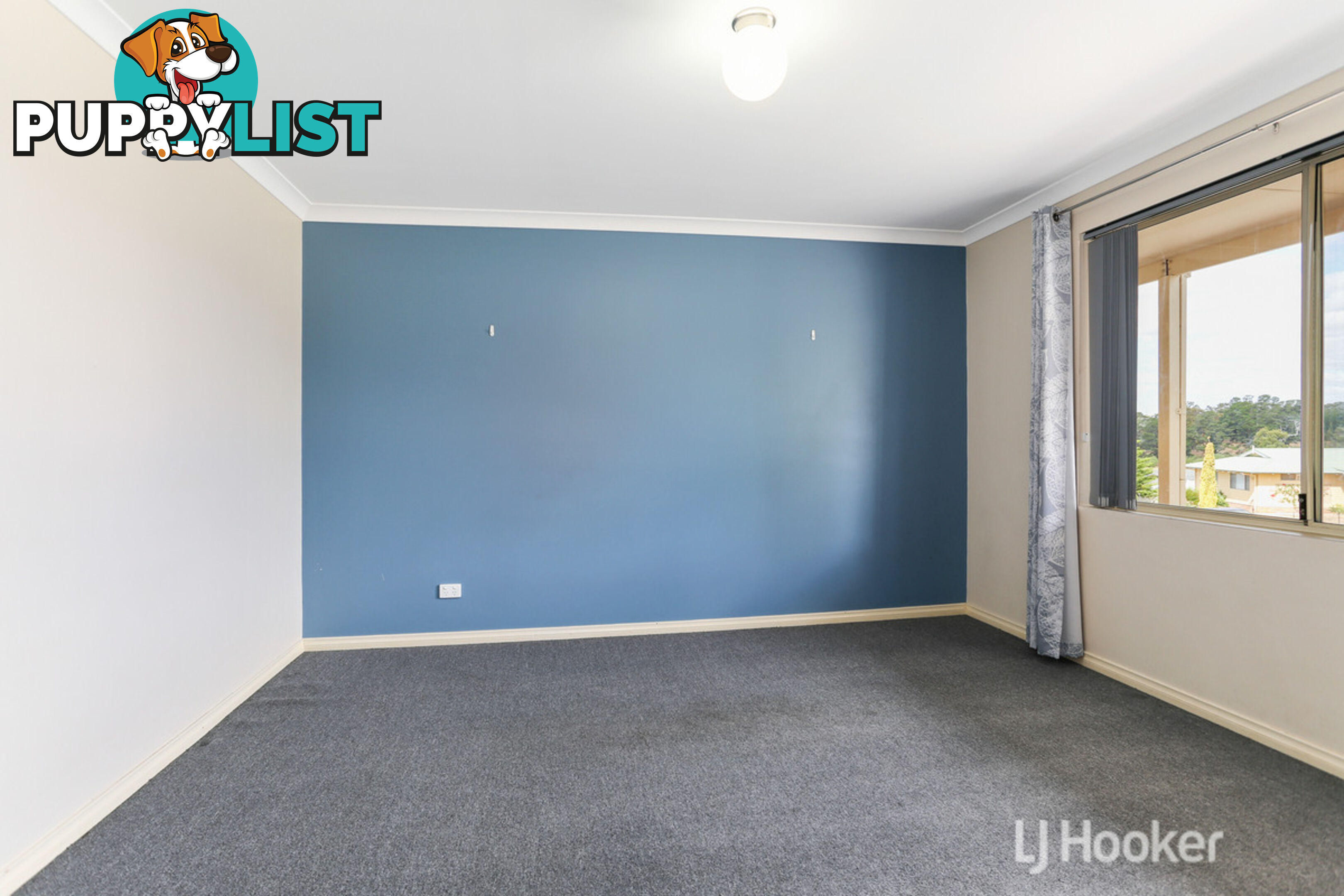 20 Robinia Rise COLLIE WA 6225