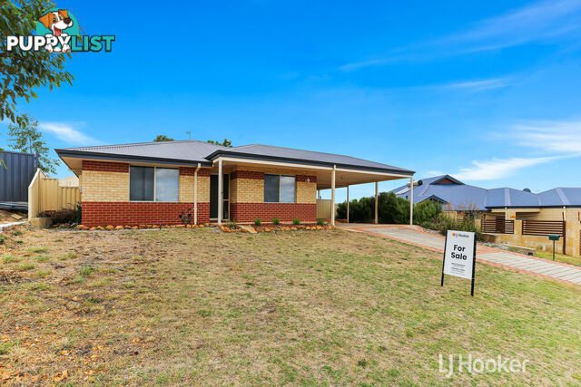 20 Robinia Rise COLLIE WA 6225