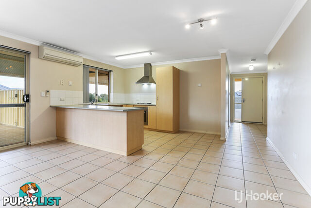 20 Robinia Rise COLLIE WA 6225