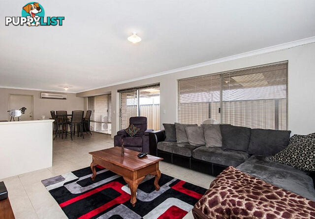 92 Prinsep Street COLLIE WA 6225