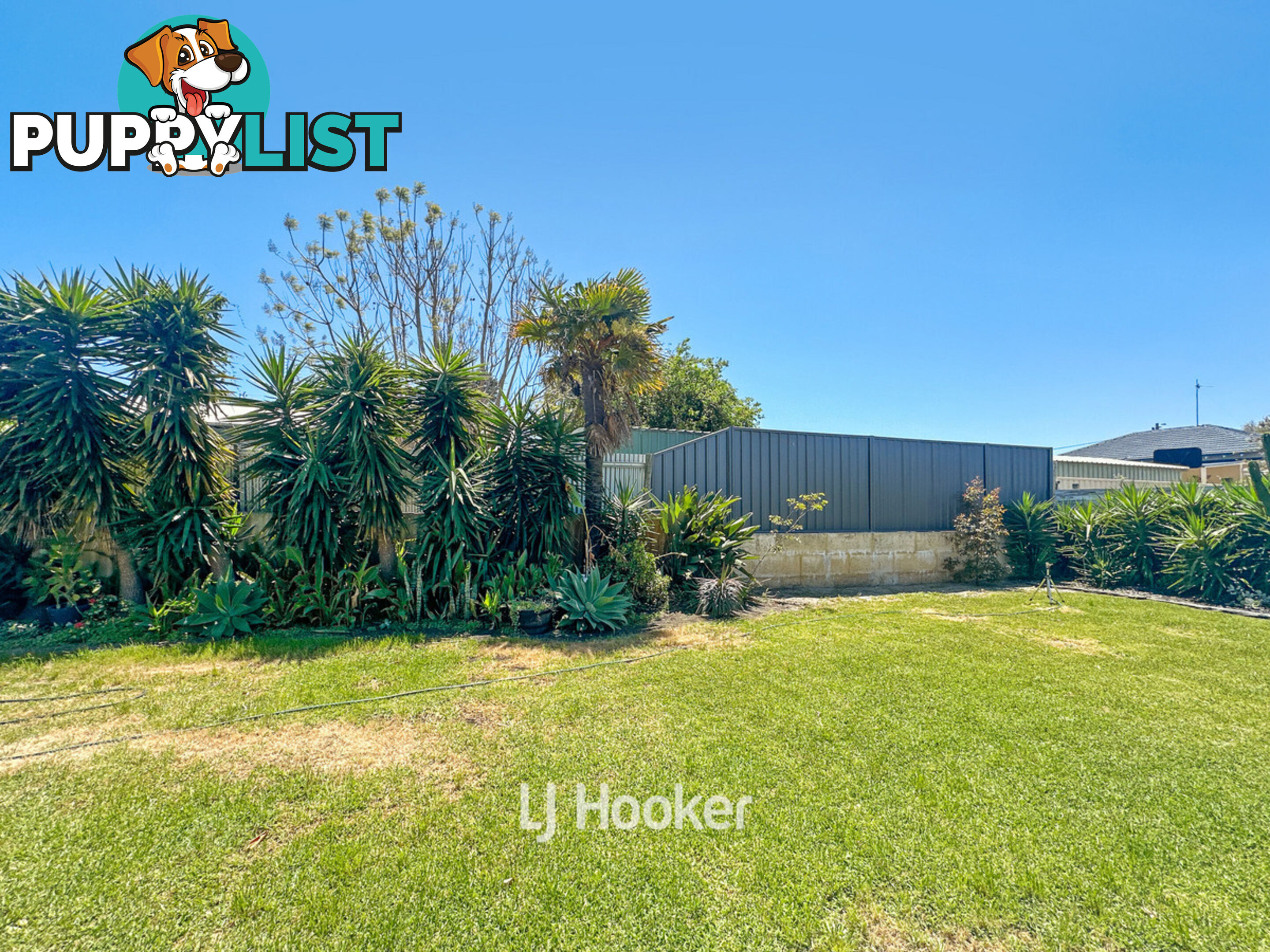 13 Moolyeen Road CAREY PARK WA 6230