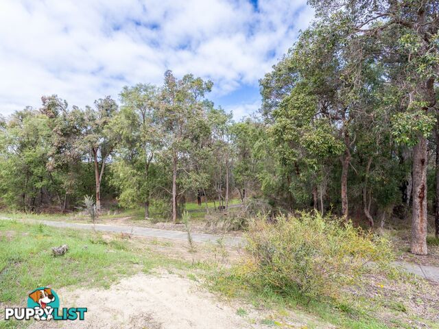 1C Silvergull Terrace AUSTRALIND WA 6233