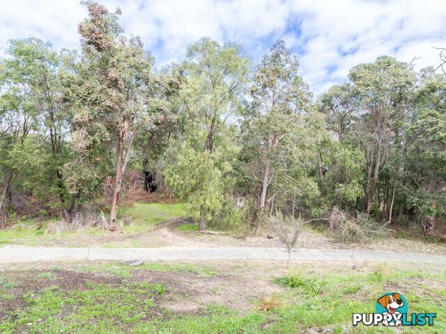 1C Silvergull Terrace AUSTRALIND WA 6233