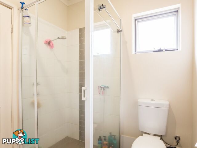 1C Silvergull Terrace AUSTRALIND WA 6233