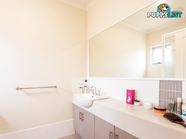 1C Silvergull Terrace AUSTRALIND WA 6233