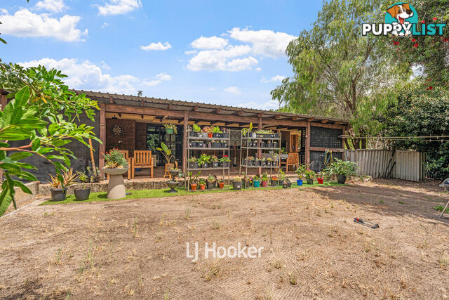 7 Hamilton Court BINNINGUP WA 6233