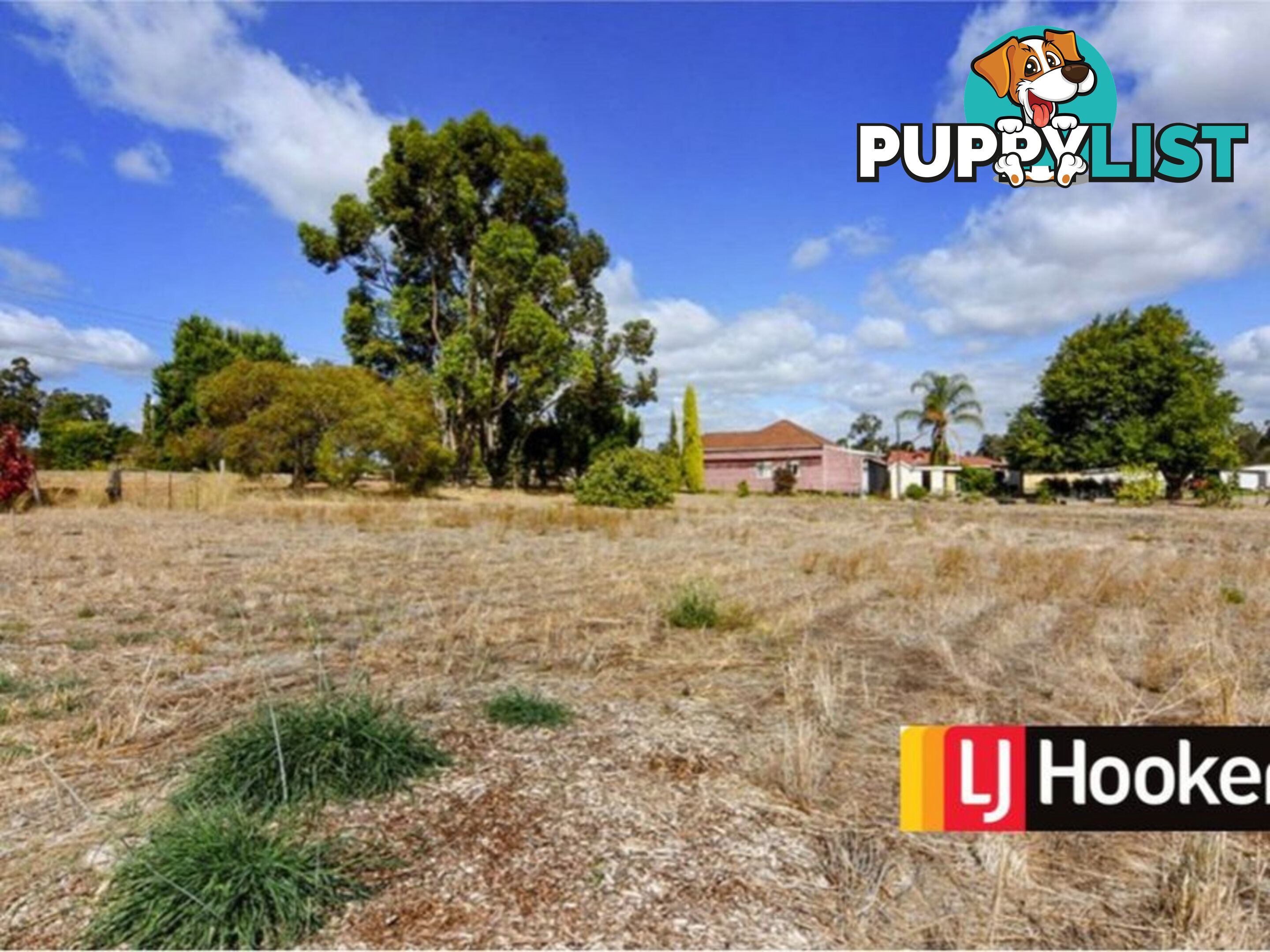 295 Prinsep Street North COLLIE WA 6225