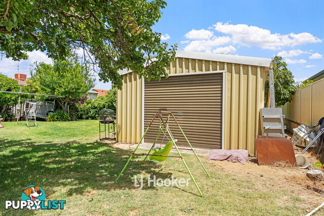 146 Spencer Street SOUTH BUNBURY WA 6230