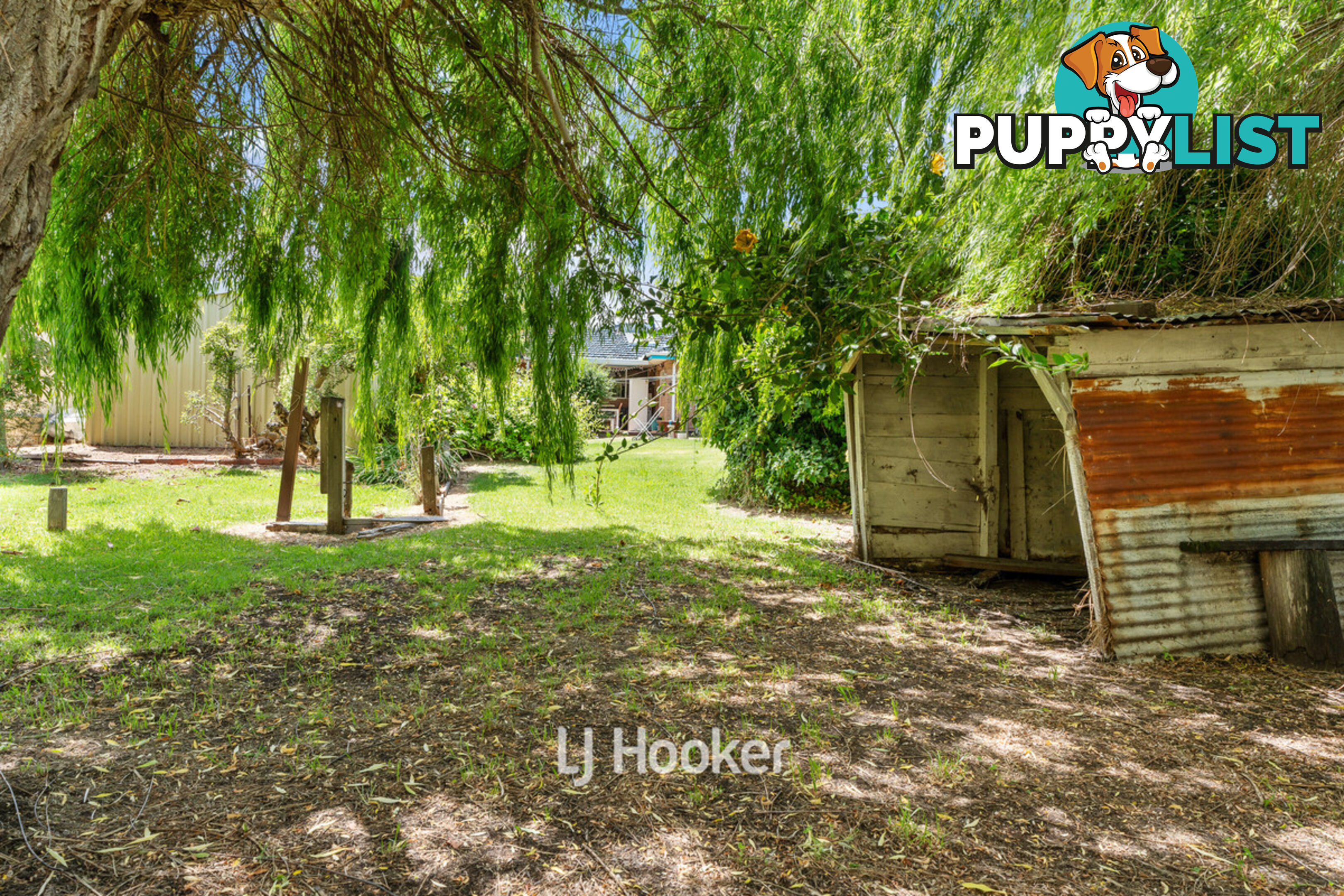 146 Spencer Street SOUTH BUNBURY WA 6230