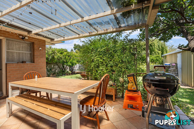 146 Spencer Street SOUTH BUNBURY WA 6230