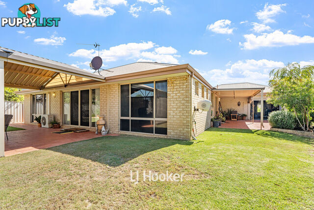 3 Onyx Brace AUSTRALIND WA 6233