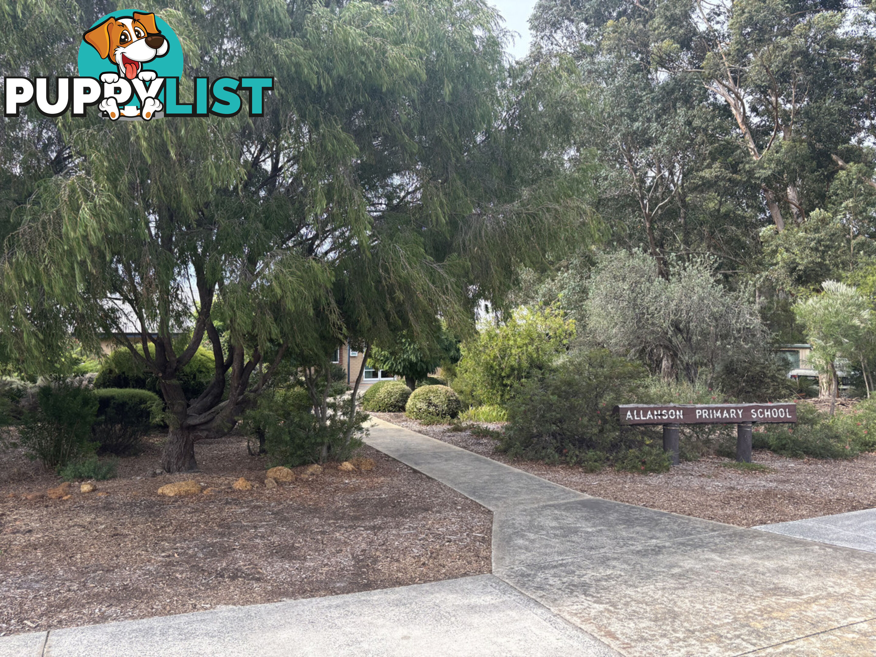 13 Cameron Street ALLANSON WA 6225