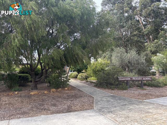 13 Cameron Street ALLANSON WA 6225