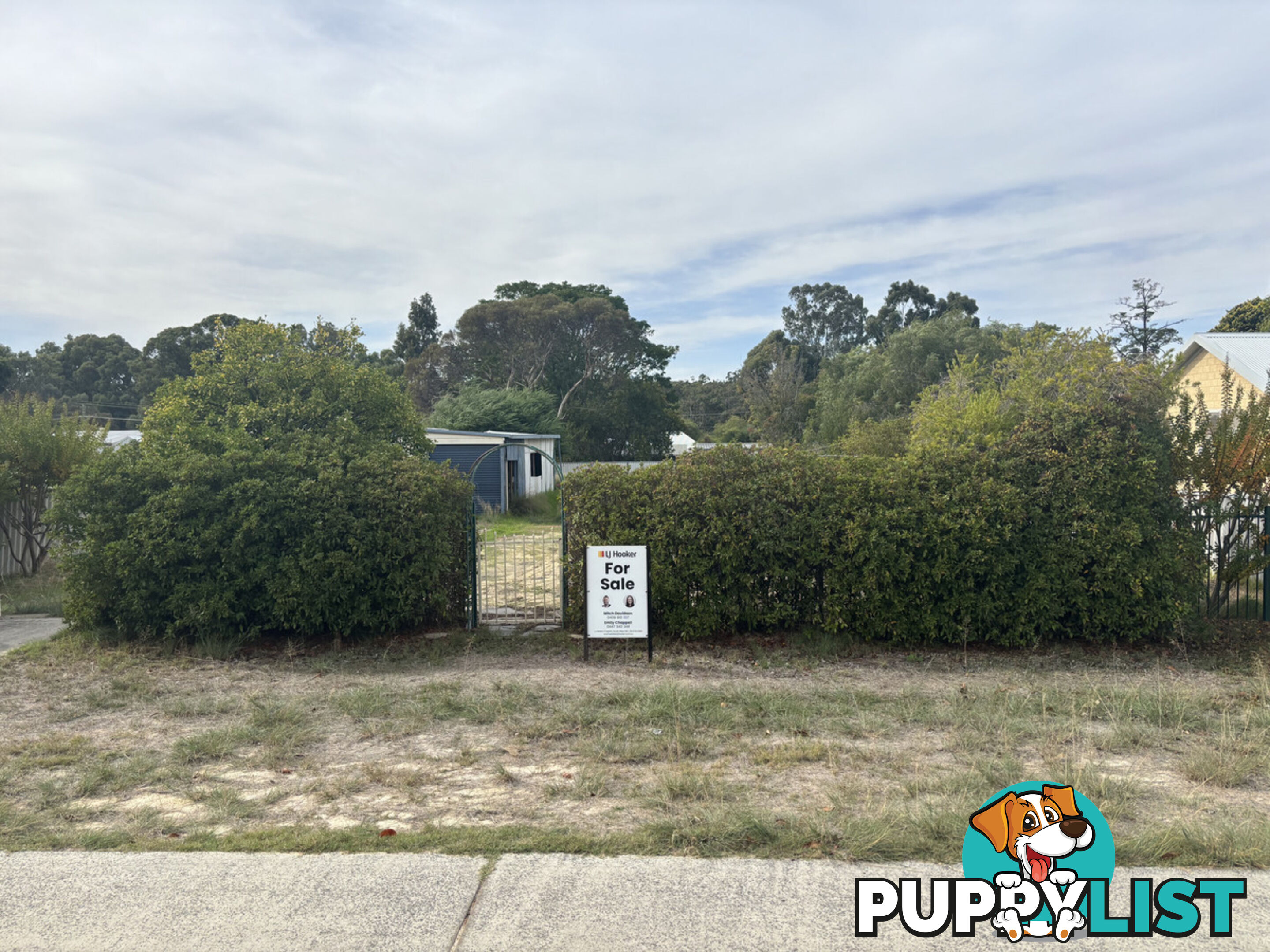 13 Cameron Street ALLANSON WA 6225
