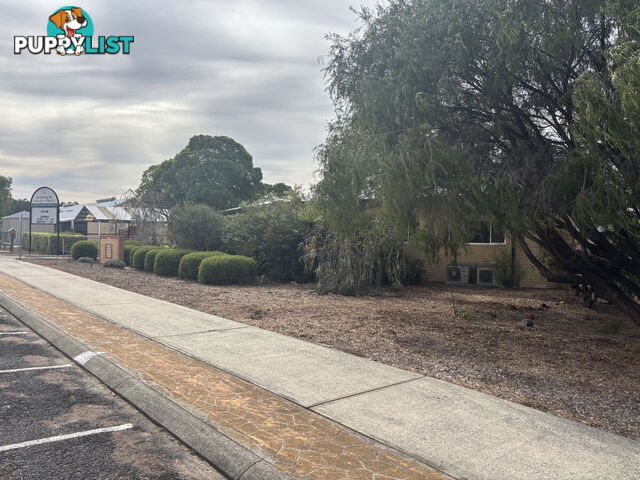 13 Cameron Street ALLANSON WA 6225