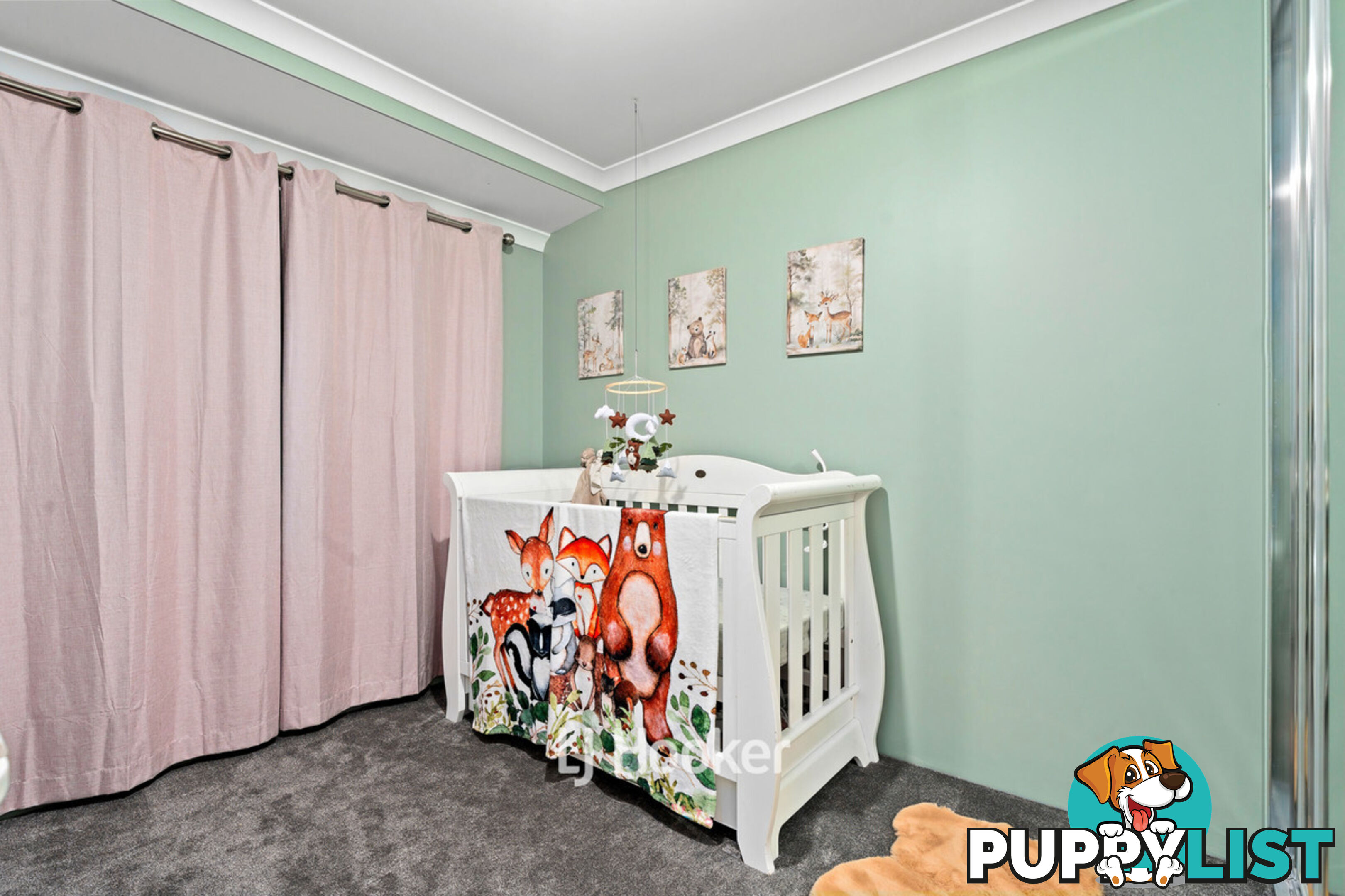 38 Columbine Terrace GLEN IRIS WA 6230