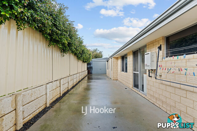 38 Columbine Terrace GLEN IRIS WA 6230