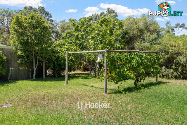 3 Boley Court GELORUP WA 6230