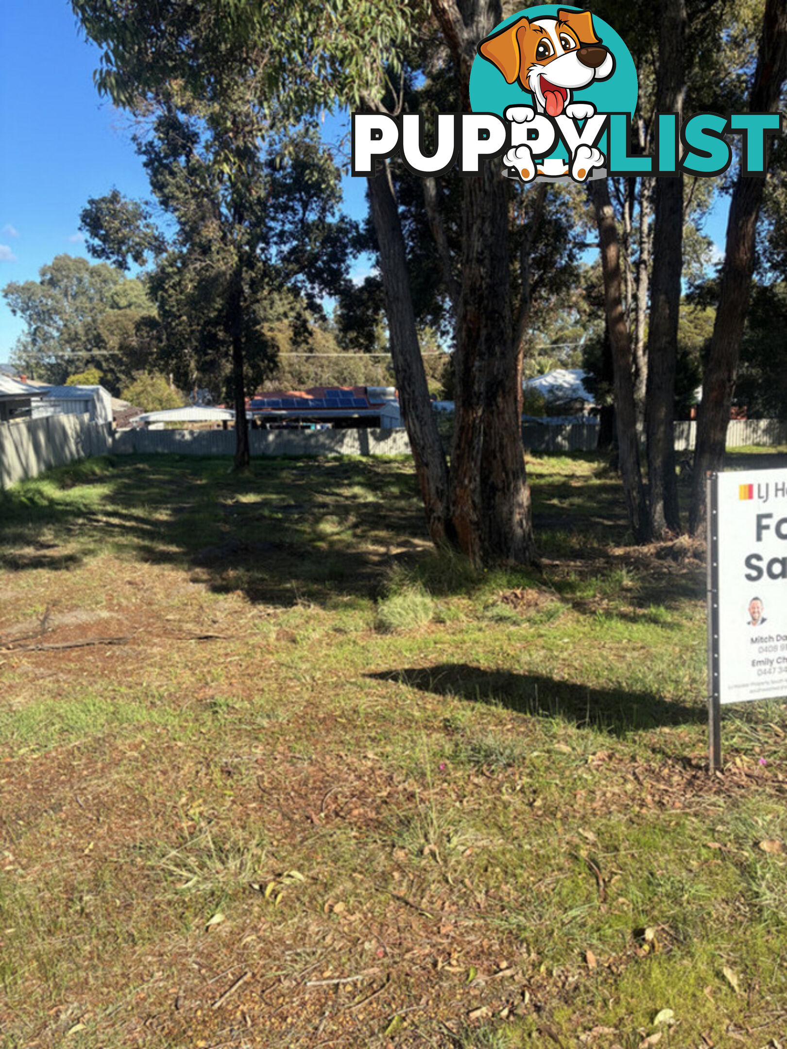 11 Park Street COLLIE WA 6225