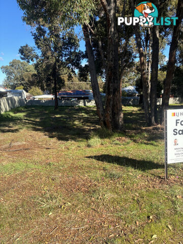 11 Park Street COLLIE WA 6225