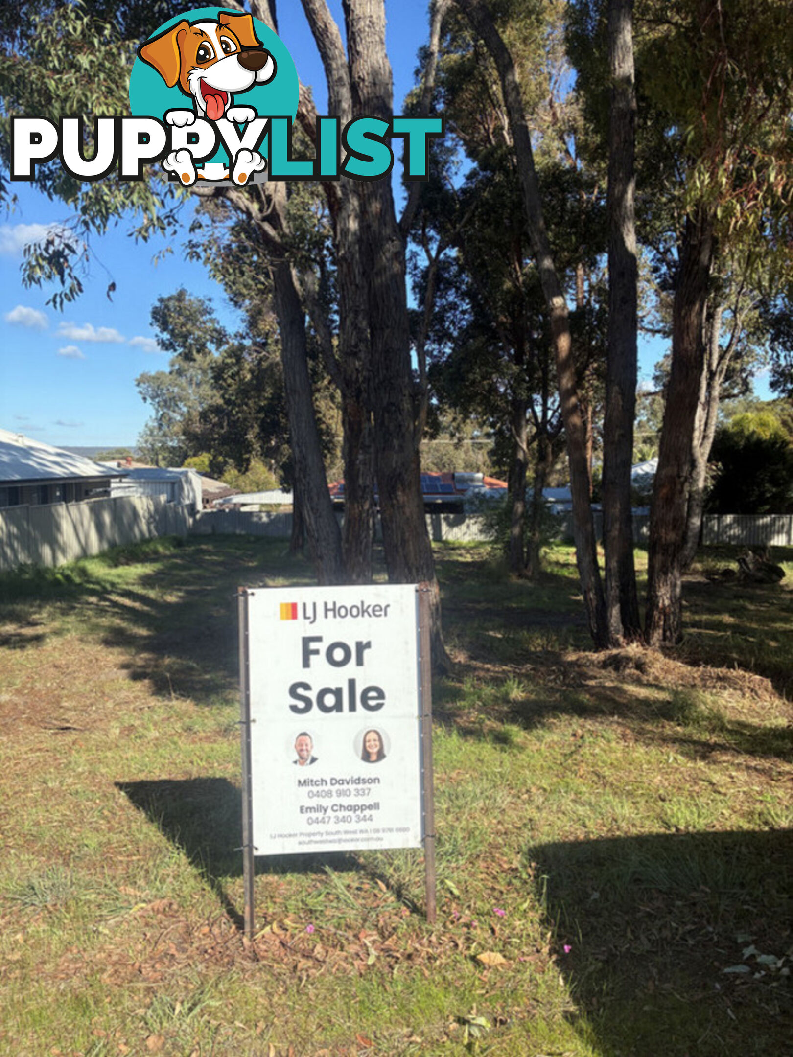11 Park Street COLLIE WA 6225