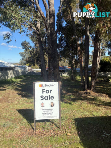 11 Park Street COLLIE WA 6225