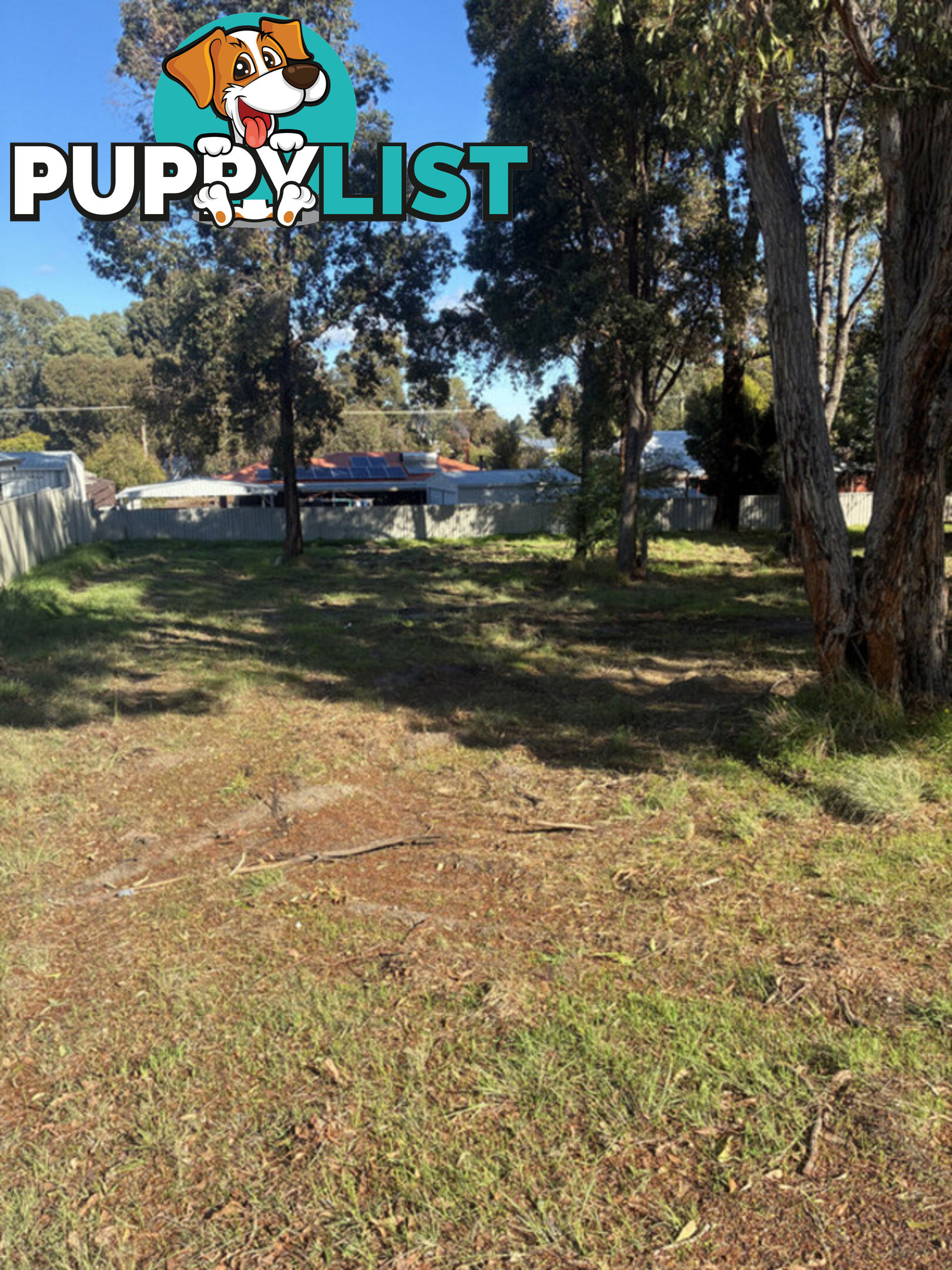 11 Park Street COLLIE WA 6225