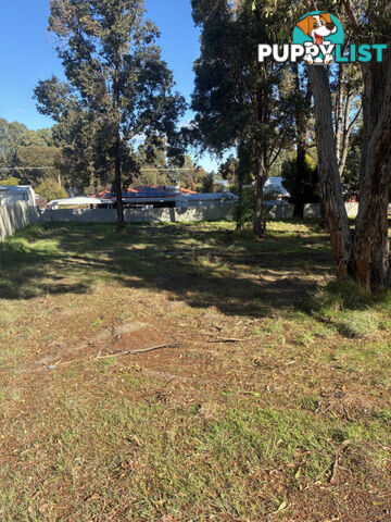 11 Park Street COLLIE WA 6225