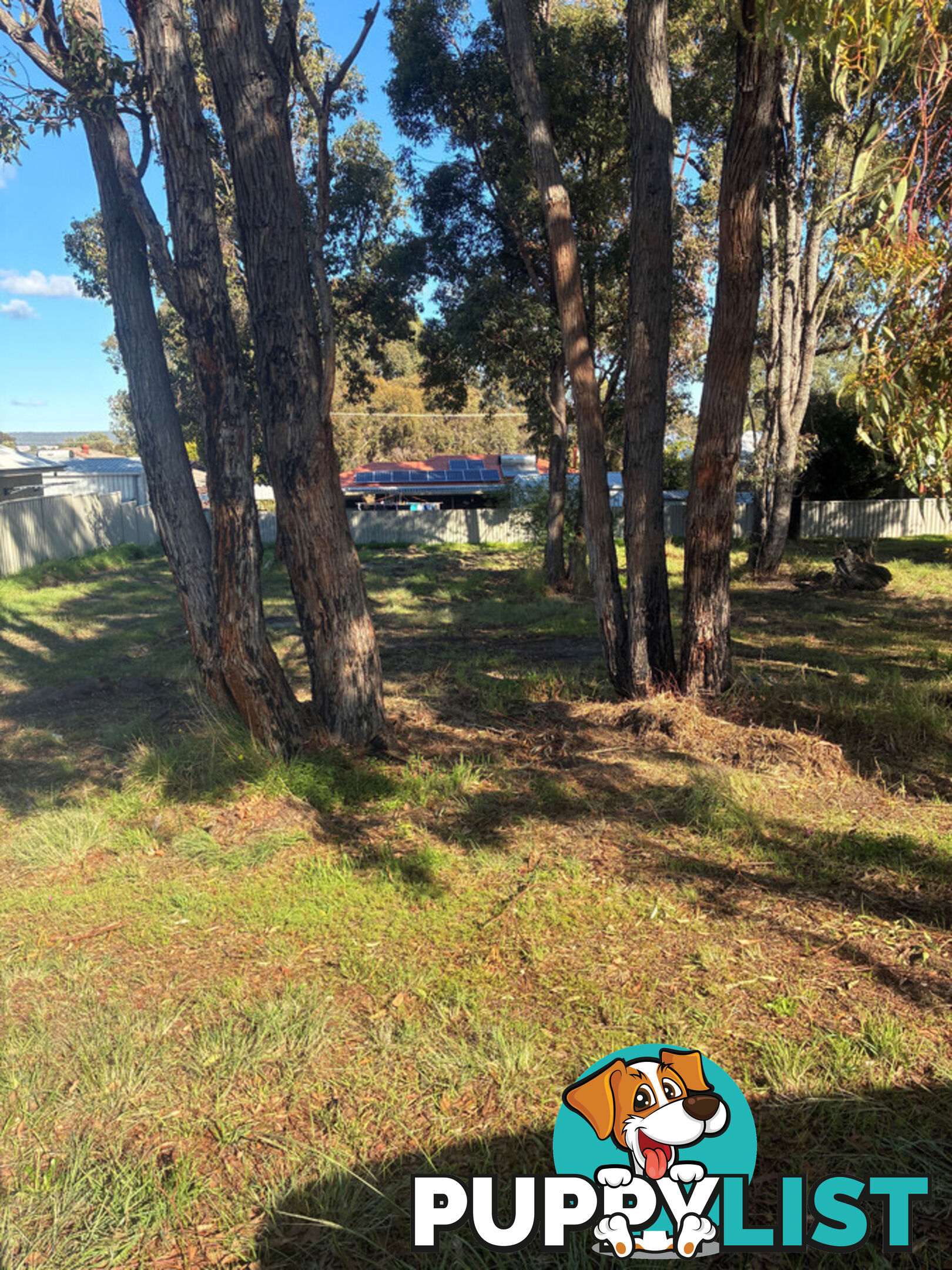 11 Park Street COLLIE WA 6225