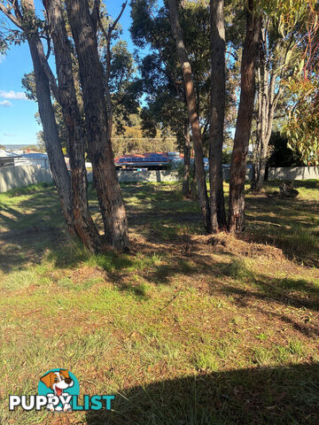 11 Park Street COLLIE WA 6225