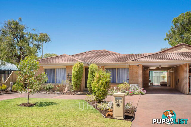 24A Anthony Road GEOGRAPHE WA 6280