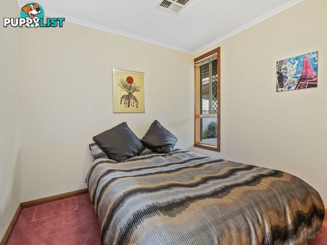 4/11 Clifton Street CAMDEN PARK SA 5038