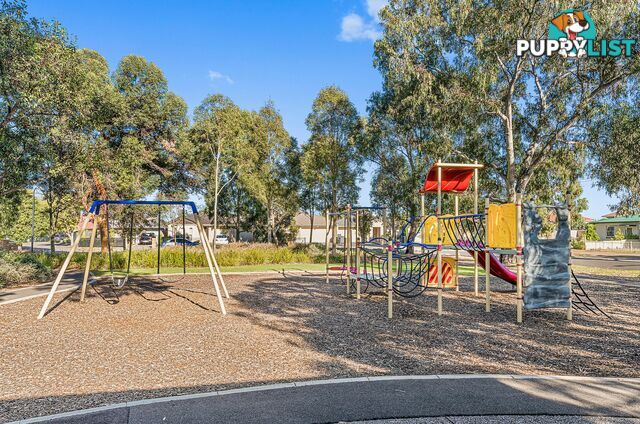 57 Gladstone Crescent MANSFIELD PARK SA 5012