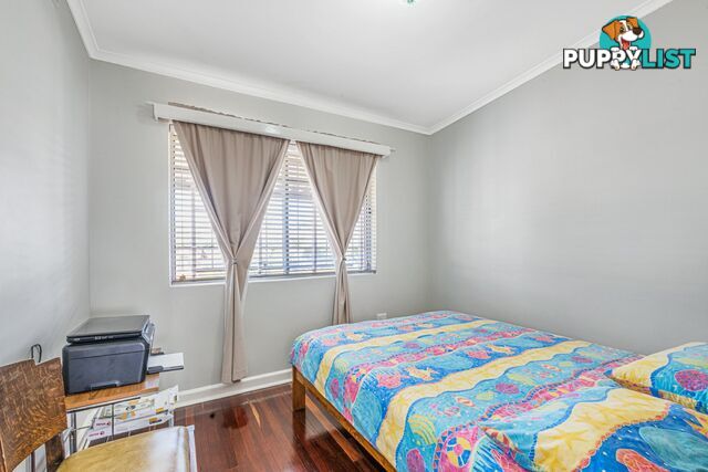 56 Alicia Street ATHOL PARK SA 5012