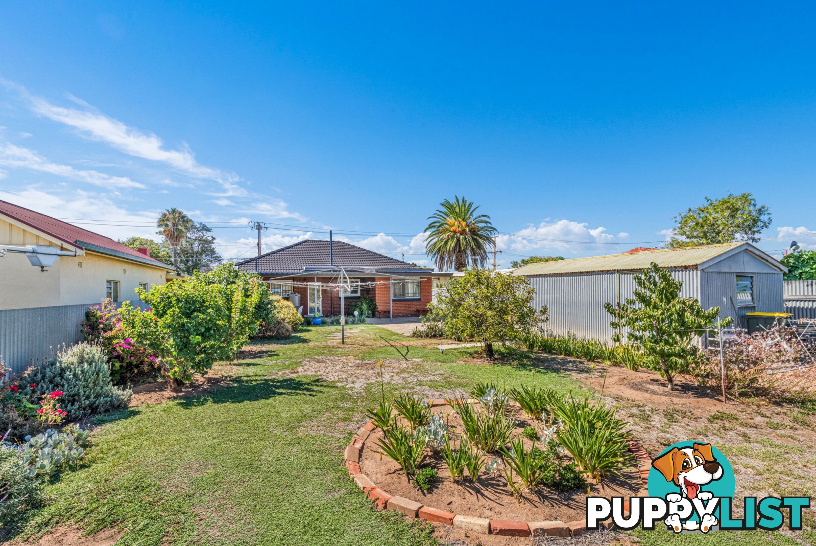 56 Alicia Street ATHOL PARK SA 5012