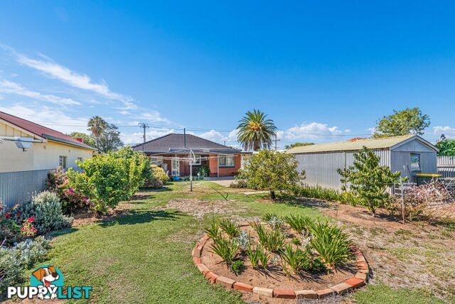 56 Alicia Street ATHOL PARK SA 5012