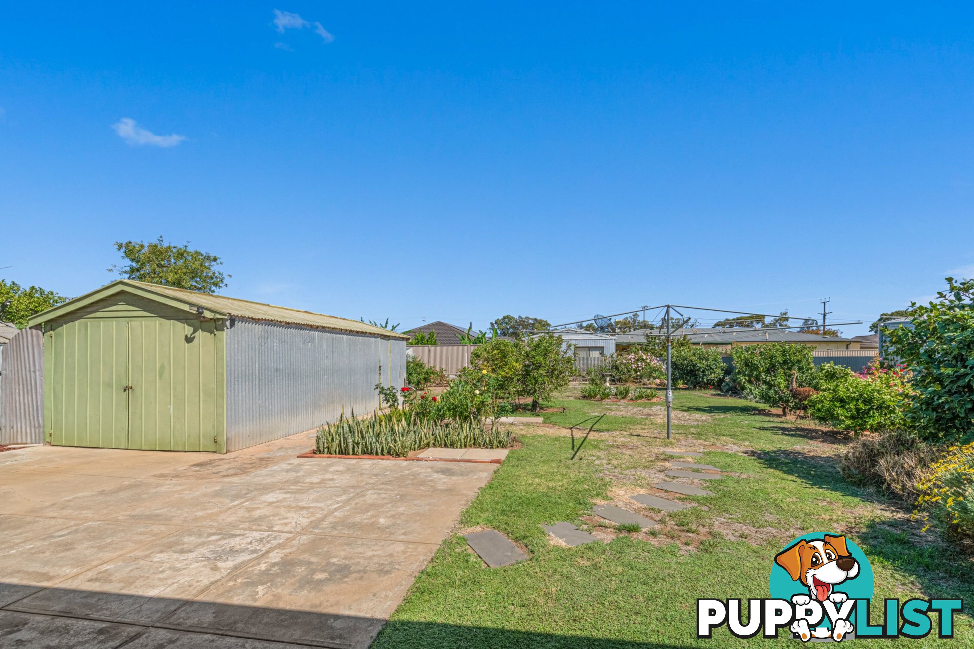 56 Alicia Street ATHOL PARK SA 5012