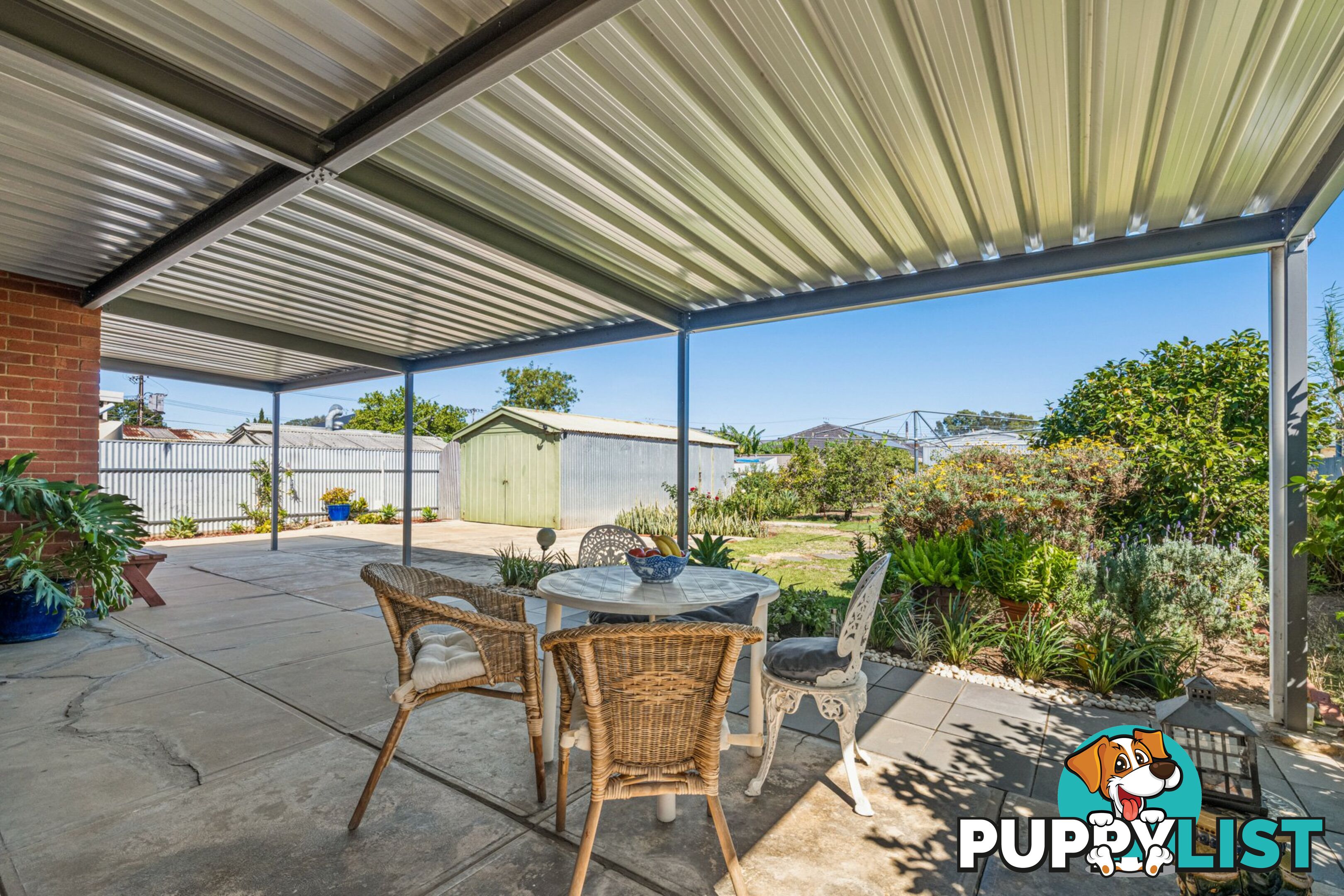 56 Alicia Street ATHOL PARK SA 5012