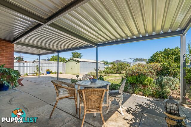 56 Alicia Street ATHOL PARK SA 5012