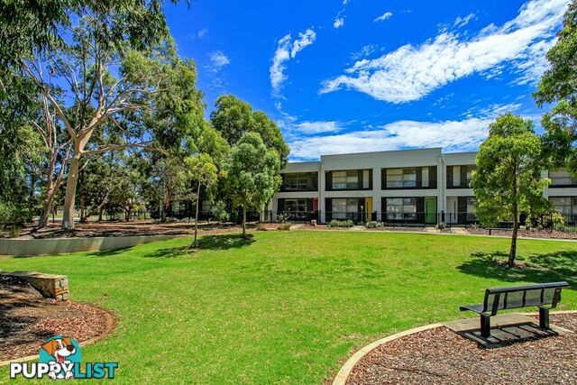 5 Kenmair Street MANSFIELD PARK SA 5012