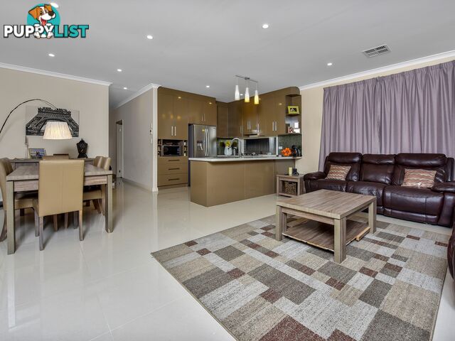 13A Dudley Street MANSFIELD PARK SA 5012