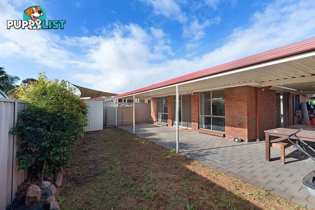 12 Carmine Court PARAFIELD GARDENS SA 5107