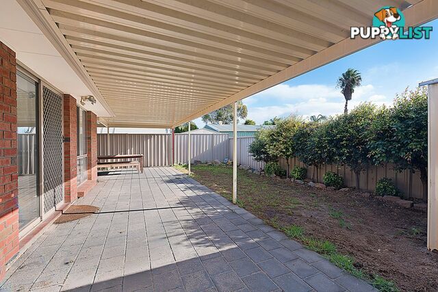 12 Carmine Court PARAFIELD GARDENS SA 5107