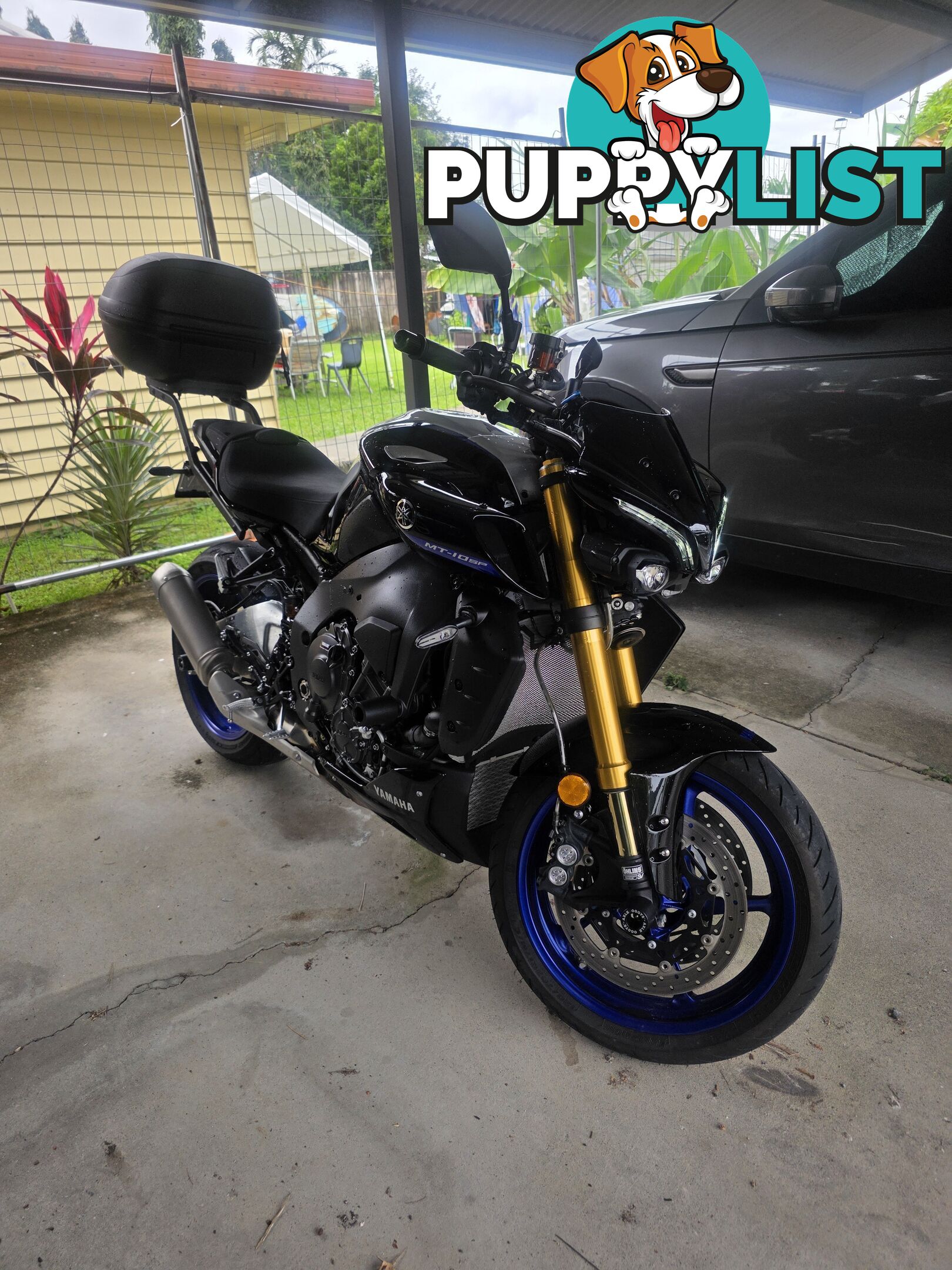 2024 Yamaha MT-01 SP